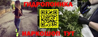 молекула духа Ликино-Дулёво